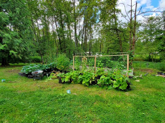 View of yard featuring a garden | Image 29