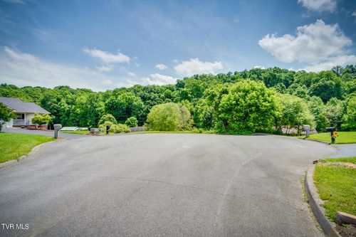 14.2 Acres Springdale Lane, Unicoi, TN, 37692 | Card Image