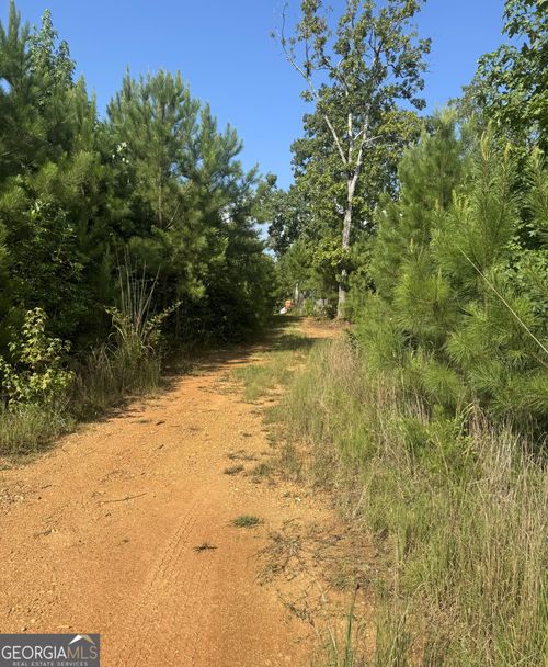 0 County Road 49, Muscadine, AL, 36269 | Card Image