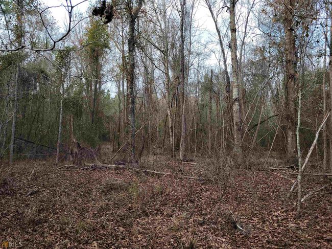 2757 Us Highway 1 N, Home with 0 bedrooms, 0 bathrooms and null parking in swainsboro GA | Image 39