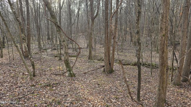 20250128_160323 | Image 15