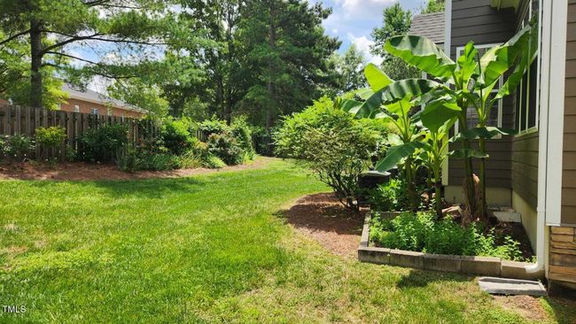 Back Yard | Image 7