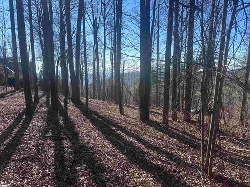 44 Wild Ginger Road, Landrum, SC, 29356-3329 | Card Image