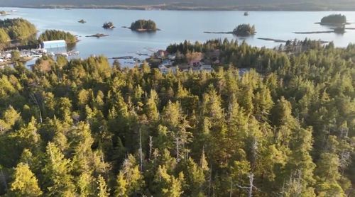 NSA 7600BLK N Tongass Hwy., Ketchikan, AK, 99901 | Card Image