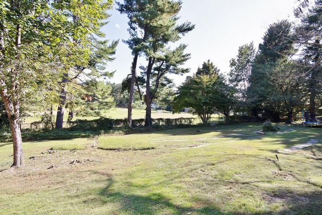 View of yard | Image 29