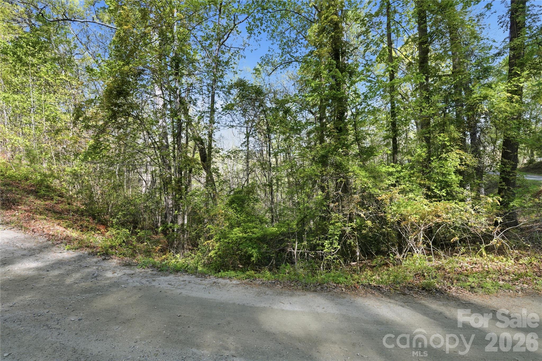Land in Lake Lure 3