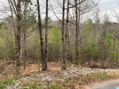 tract-b-8 Coleman Cir, ONEONTA, AL, 35121 | Card Image