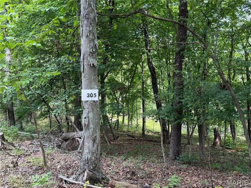 #305 Madison 410, Fredericktown, MO, 63645 | Card Image