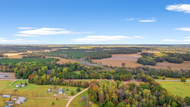 17 Arnette Rd., Home with 0 bedrooms, 0 bathrooms and null parking in Dillon SC | Image 9
