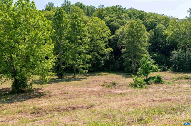 1467 Harris Creek Rd, Home with 0 bedrooms, 0 bathrooms and null parking in Charlottesville VA | Image 39