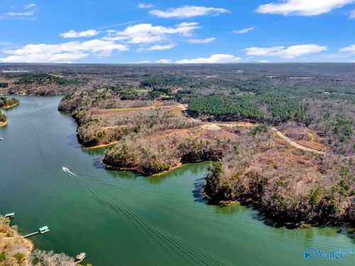 98 acres County Road 102, Bremen, AL, 35033 | Card Image