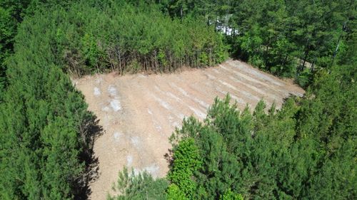 1 Highway 311, Cross, SC, 29436 | Card Image