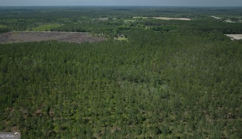 64.65 AC Bay Branch Church Rd, Claxton, GA, 30417-7748 | Card Image