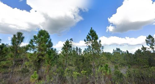 1017 Portulaca Dr, INDIAN LAKE ESTATES, FL, 33855 | Card Image