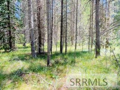 4009 Coyote, Island Park, ID, 83429-5088 | Card Image