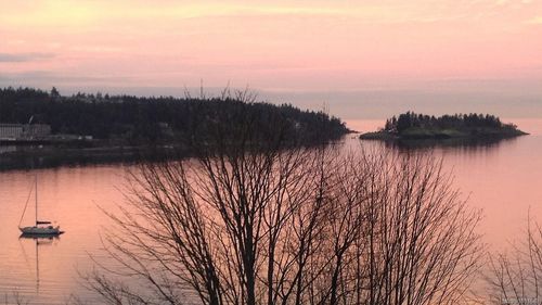 205-2560 Departure Bay Rd, Nanaimo, BC, V9S5P1 | Card Image
