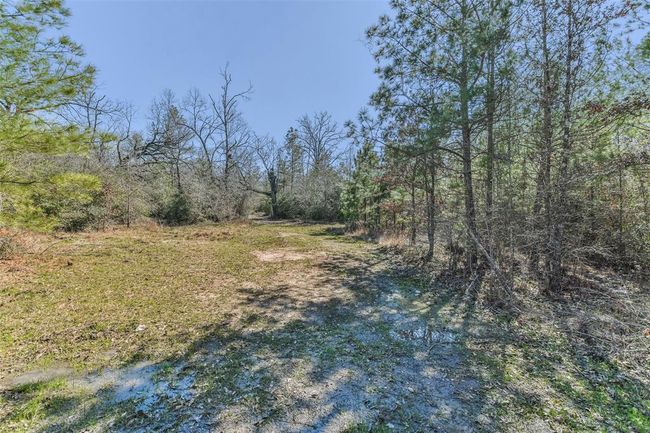 35 Old Sign Rd, Home with 1 bedrooms, 1 bathrooms and null parking in Midway TX | Image 35