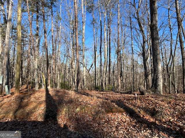 Land in Dawsonville 4