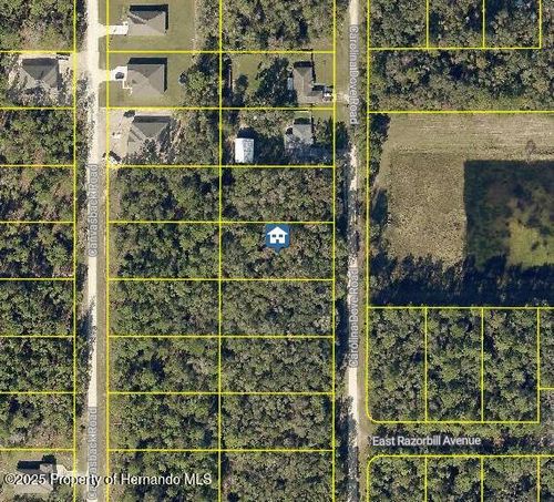 1021 Carolina Dove Rd, Brooksville, FL, 34614 | Card Image