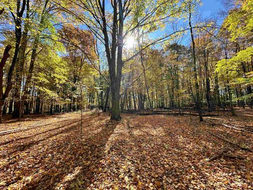 UA Timberline Dr, Thompsonville, MI, 49683 | Card Image