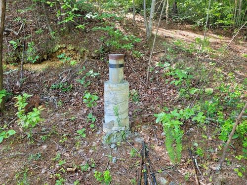 Lot 12/13B Quail Dr, Marion, NC, 28752-8539 | Card Image