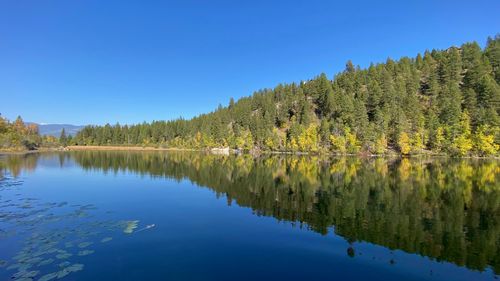 2265 Sasquatch Holw, Whitefish, MT, 59937-8288 | Card Image
