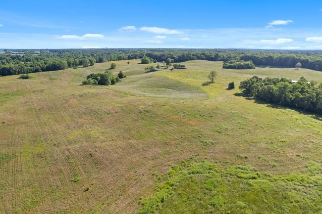0 Happy Hills Acre Rd, Home with 0 bedrooms, 0 bathrooms and null parking in Woodlawn TN | Image 9