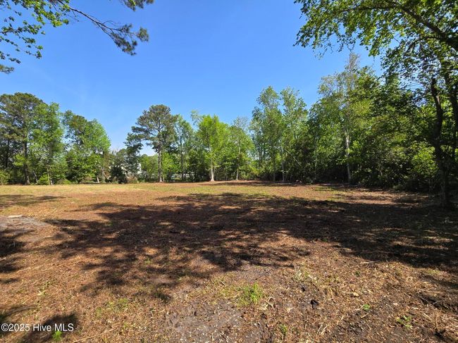 1254 Shenandoah St, Home with 0 bedrooms, 0 bathrooms and null parking in Wilmington NC | Image 17