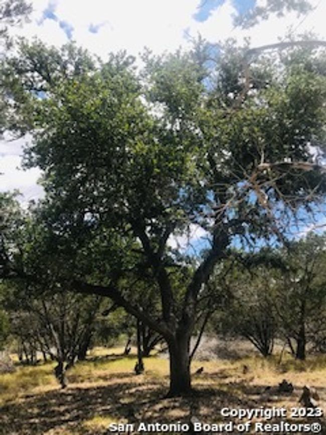 26 Mustang Crossing Dr, Home with 0 bedrooms, 0 bathrooms and null parking in Pipe Creek TX | Image 12
