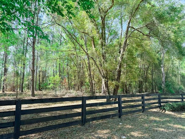 000 Hermitage Gln, House other with 4 bedrooms, 4 bathrooms and null parking in High Springs FL | Image 4