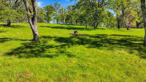 6627 Western Sierra Way, El Dorado Hills, CA, 95762-7763 | Card Image