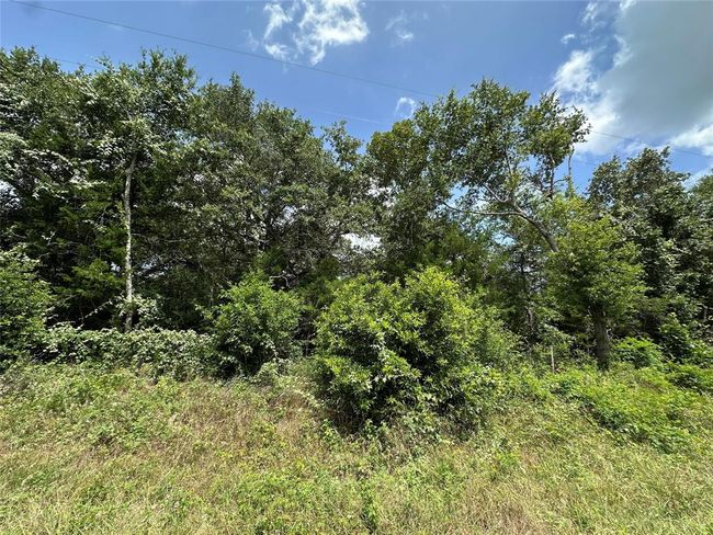 000000 Overlook Rd, Home with 0 bedrooms, 0 bathrooms and null parking in Caldwell TX | Image 5