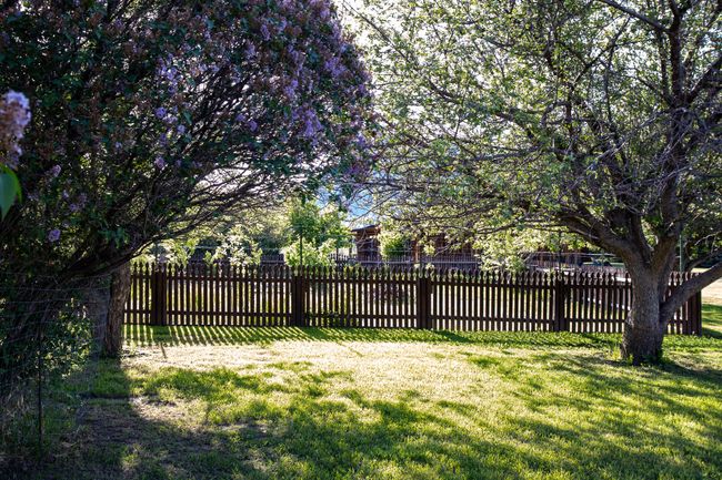 View of yard | Image 13
