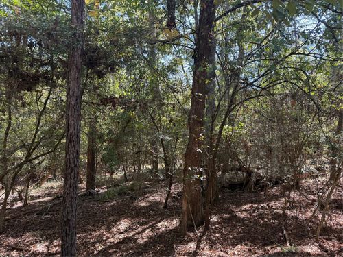 TBD Poland Spring Court, Huntsville, TX, 77320 | Card Image