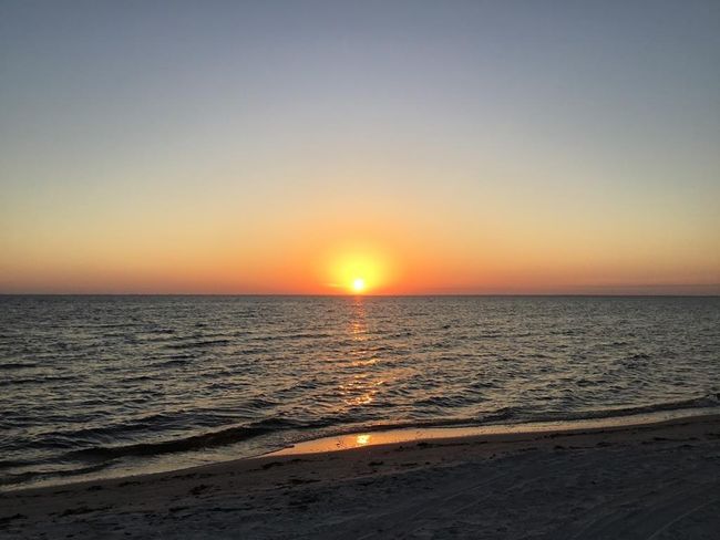2771 S Highway 71, Home with 0 bedrooms, 0 bathrooms and null parking in Wewahitchka FL | Image 15