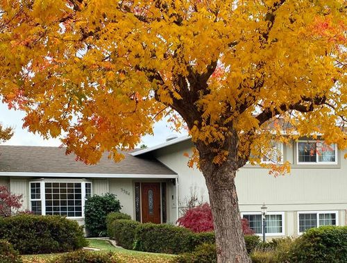 3384 Burgundy Dr, San Jose, CA, 95132-3003 | Card Image