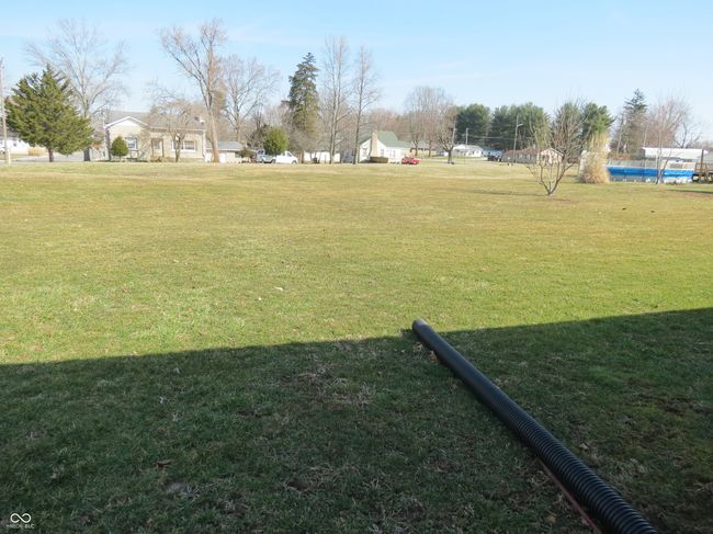 view of yard | Image 4