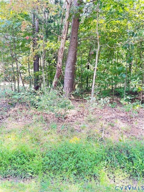 0 Gatewood Rd, WOODFORD, VA, 22580 | Card Image