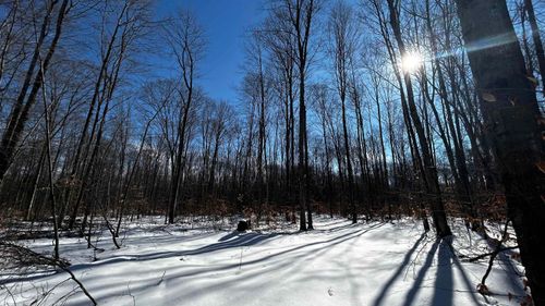8845 B6 Reynolds, Almira Township, MI, 49684 | Card Image
