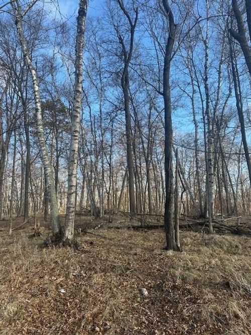 5 Wilderness Trl, Crosslake, MN, 56442 | Card Image