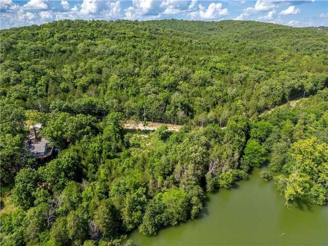 Aerial view of a forest and a nearby body of water | Image 10
