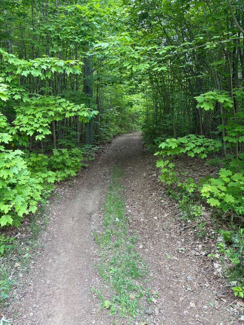 1043 Lawrence Pit Rd, Utterson, ON, P0B1M0 | Card Image