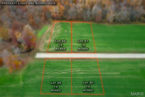 425 Bertha E Dumey Dr, Benton, MO, 63736 | Card Image