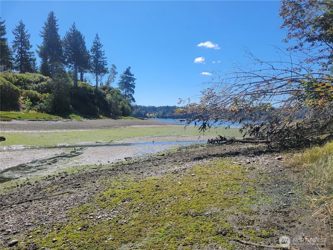 Community Beach Too - access i s only a few lots away | Image 26