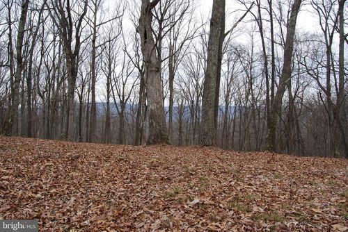 Lot 11 Seldom Seen Ln, GREAT CACAPON, WV, 25422 | Card Image