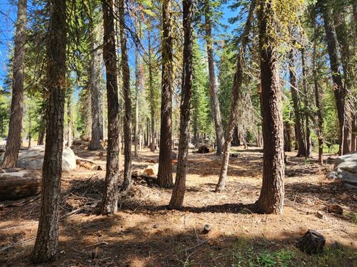 66 Silvertip Rd, Arnold, CA, 95223-9438 | Card Image