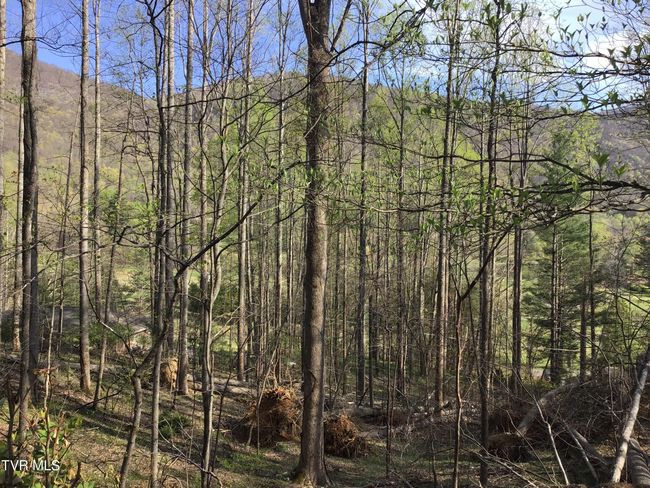 2 Powell Valley Road Road, Home with 0 bedrooms, 0 bathrooms and null parking in Big Stone Gap VA | Image 4