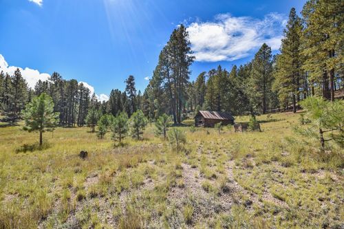 27.5 Acres Jemez Mountains Forest Rd 10, Jemez Springs, NM, 87025 | Card Image