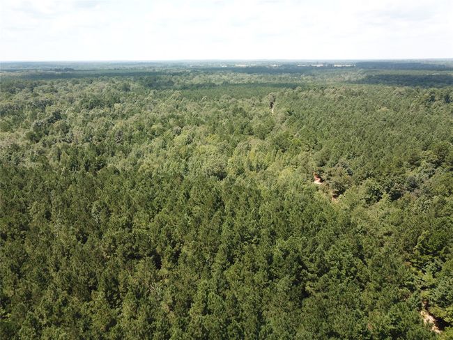 00 Highway 371, Home with 0 bedrooms, 0 bathrooms and null parking in Rosston AR | Image 4