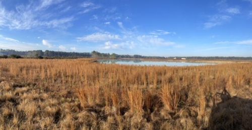 765 Percy Ln, Ridgeville, SC, 29472-7363 | Card Image